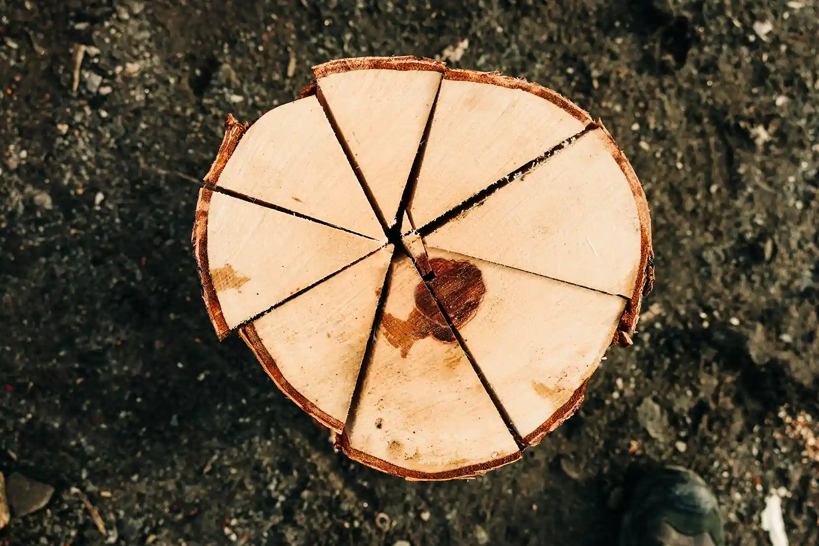 firewood-made-with-japa-8-way-knife-003